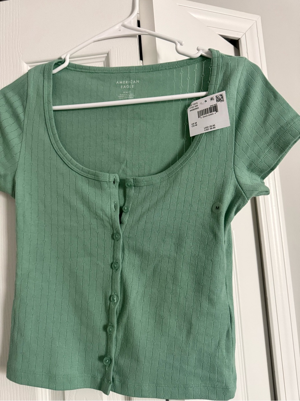 American Eagle Outfitters Mint Green Ribbed Button-Front Crop Top